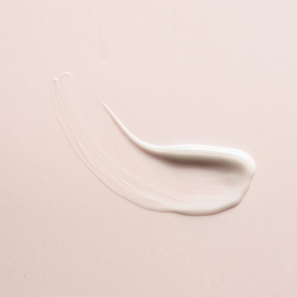Laoreet nisi bibendum - Image 2
