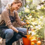 Lorem ipsum dolor sit amet consectetur